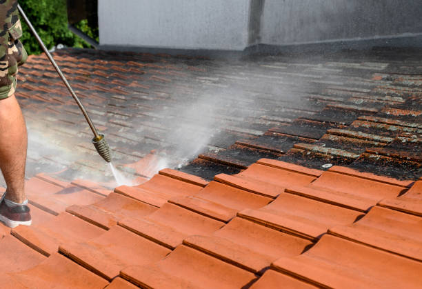 Best Pressure Washing Driveway  in Montz, LA