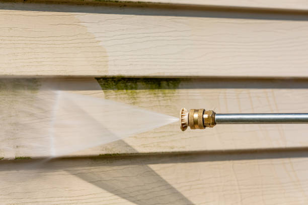 Best Exterior Home Cleaning  in Montz, LA